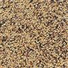 Il Contadino - Antichi Becchimi | MISCUGLIO per CANARINI EXTRA | Formula ricca di semi Selezionati adatta per tutto l'anno, No OGM, 100% Vegetale, Assenza di scarti. Qualità Superiore (5 Kg)