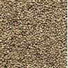 Il Contadino - Antichi Sapori Il Contadino - Antichi Becchimi | CANAPA AD USO ZOOTECNICO | Essenza di semi Selezionati e Super Ventilati, No OGM, 100% Vegetale, Assenza di scarti. Qualità Superiore (1 Kg)