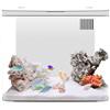 TIANHENGMart Kit di avviamento per acquario, kit iniziale per acquario piccolo Betta Fish Tank con LED e filtro, piccolo arcrylic Betta Fish Tank Upgrade sistema di filtro e luce LED (bianco)