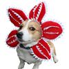 Generico Demogorgon - Cappello per animali domestici, regolabile, spaventoso, con fiore spaventoso, accessori per oggetti cosplay Demogorgon,feste, morbido copricapo per gattini con viso da diavolo