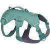 Ruffwear Web Master, pettorina per cani a Y con manico e fibbia migliorata, regolabile e leggera, per passeggiate ed escursioni, anti fuga, anti-trazione, River Rock Green, M