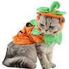 ANIAC Costume da zucca per gatti, cappello di Halloween, mantello, set poncho per cuccioli, cane, Halloween, cosplay, per gattini, cani di taglia piccola e media