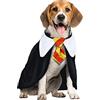 FIESTAS GUIRCA | Costume da Studente di Magia per Animali Domestici (L/CANE) - Mantello e Cravatta - Costumi da Mago e Stregone per Halloween, Carnevale e Feste in Maschera - Ideale per Cani