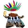 BOYANDM Costume per cani per Halloween, costume indiano per gatti, cani, cosplay, set di abbigliamento indiano