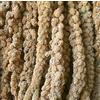 Generico Spighe di panico alimento per volatili in confezione da 15kg