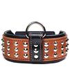 Bestia '' Star '' Collare per Cani in Vera Pelle con Borchie