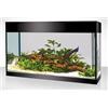 Askoll acquario KIT XL ABSOLUTE BLACK