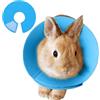 Generic Collare per recupero criceti, collare protettivo anti-leccare per coniglio, regolabile, anti-morso, per prevenire la perdita di di piccoli animali, protezione per ferite da parrocchetti, viaggi