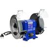 BSD Smerigliatrice da Banco Professionale 200 mm - Doppio Disco per Levigatura e Lucidatura, Motore da 350W, Base Antiscivolo e Protezioni Regolabili.