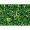 murando PREMIUM Carta da parati Impianti 400x280 cm Fotomurali in TNT Murale alla moda Decorazione da Muro XXL Poster Gigante Design Cameretta Carta per pareti Natura Fogliame tropicale b-B-0601-a-a