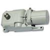 Dieffematic GENIUS ROLLER 24V 6170080 - Attuatore Motore Interrato per Cancello Battente - Resistente a Salsedine, Ante Fino a 3m
