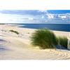 Runa Art Carta da parati fotografica Spiaggia e mare 352 x 250 cm Vello Sfondo Murale XXL Moderne Decorazione Soggiorno Camera De Letto Sala Ufficio Beige Blu Verde 9008011c