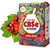 Yerbox CBSé Yerba Mate Tè Guarana 500g + Campione Regalo (40g) Ricco di antiossidanti, vitamine, accelera il metabolismo, senza zucchero | Argentina