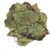 AgoraMarket Foglie di Edera Inglese Essiccate 85g - 1,95Kg Hedera Helix (220 grammi)