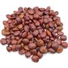 AgoraMarket Semi di Carruba Biologici Greci 40g - 1.95Kg Ceratonia Siliqua (220 grammi)