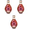 Generico Due Vittorie Aceto di Vino Rosso Non Filtrato, 3 Bottiglie da 250ml, Fermentazione Spontanea, Naturalmente Torbido