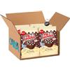 CAIYA Mr. Brownie Brownies Tortine al Cioccolato Belga con Decorazioni Stelle di Zucchero 200g [CAIYA® BOX da 6 Confezioni]