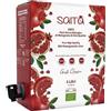 Saita Succo di Melograno 100% Puro Biologico, Succo di Frutta Senza Zuccheri Aggiunti, Vitamina C Naturale, Vegan Superfood Detox, Bag in Box 3 l, Classico, Made in Italy