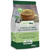 Molini Spigadoro Farina di Semi di Canapa Sativa Biologica (500gr) certificata ICEA, può essere aggiunta agli impasti per pane, pizza, biscotti e dolci