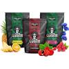 GUARANI Set di yerba mate Guarani | Tre confezioni di yerba mate | Guaranà, frutti di bosco, frutti esotici | Yerba mate del Paraguay | Caffeina naturale | 3x500g | 1,5kg