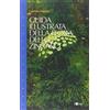 MEDITERRANEO Guida illustrata della flora dello Zingaro