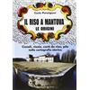 Sometti Il riso a Mantova. Le origini