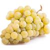 Generic Uva bianca Moscato Vitis Vinifera X 20 semi altamente speziato e dolce Tableau:Graines