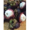 Generic Bloom Green Co. 50 Pz Köstliche mangostano Piante Ricco di sostanze nutritive Regina di frutta tropicale perenne Flores Albero Bio-Bonsai Per la casa Giardino: 5