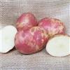 Generic 1Kg: 1Kg Red King Edward patate da semina - sementi certificato scozzese (Classe Se) Maincrop