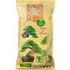 DR.SOIL TERRICCIO SUBSTRATO BONSAI LT.1
