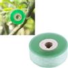 Tissting Nastro per Innesto Pianta, Pellicola Protettiva Autoadesiva Elasticizzata e Trasparente, Rotolo per Giardinaggio e Riparazione Alberi, Ideale per Giardini e Fattorie