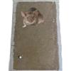 Generic Trappola Adesiva per Topi e Ratti, raggni, scorpioni, scarafaggi, blatte Grande Trappola per Topi, Tavoletta per Topi Grandi, per Roditori, Colla Aromatizzata Extra Forte (3, mm 17,50 x 27,50 x 3)