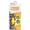 Zapi Trappola Bi-Adesiva Cromotropica per Piante 3 Pezzi