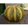SVI 25 semi di Tonda Padana zucca - Cucurbita Maxima