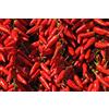 MONDONATURA SRL Busta Seme Peperoncino Calabrese Professional Seeds, Mondonatura Srl