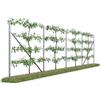 Kiwiri RANKI™ - traliccio per piante rampicanti - traliccio standard di piantagione per vino, kiwi, kiwiberry, rose, clematide, frutta a traliccio (4 campi (8 metri))