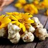Generic Semi di Topinambur, Helianthus tuberosus, balcone acquistare semi di Topinambur semi rari cucina dell'orto giardino 30pcs