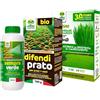 Albagarden - Kit Completo Per la Cura del Prato - Concime + Difendi Prato + Sempre Verde - Azione Prolungata (Kit Completo)
