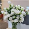Generic semi di lisianthus di campo, aiuole rialzate di lisianthus da balcone resistenti per il giardino 180pcs