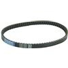 Athena S410000350038 Cinghia di Trasmissione