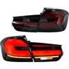 Vamhhx Fanali Posteriori 1 Paio Fanali Posteriori A LED Completi Per BMW F31 Serie 3 Touring/Station Wagon 328i 320d 2012-2019 Fanale Posteriore Montaggio Fanale Posteriore(Smoke and Red)