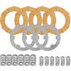 LG-MOTORS POWER ENGINEERING F1179SM - serie modifica frizione 4 dischi conduttori + 3 dischi condotti acciaio blu + 12 molle Ccompatibile con APE EURO 2 50 2003-2016 APE FL / FL2 50 1989-1995 APE FL3 EUROPA 50 1996-1999