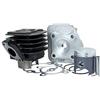 TOP PERFORMANCE 9931340 GRUPPO TERMICO TOP TROPHY 70CC D.47 MALAGUTI F12-PHANTOM 50 2T SP.10 GHISA BLACK