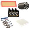 Somer Car KIT TAGLIANDO + CANDELE COMPATIBILE CON FIAT GRANDE PUNTO EVO 199 1.2 1.4 BENZINA SELENIA 5W40