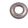Generico CifFerrigno Paraolio 22,7x47x7 VItonn Marrone Lato Frizione Compatibile Con VESPA 50-125 - PRIMAVERA - ET3 - PK 50-125 - APE 50