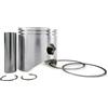 Malossi Set pistone 172 ccm, 65 mm - 16 mm