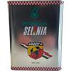 SELENIA Puro olio per motore Petronas Selenia Abarth 10W-50 13133701
