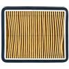RIDE AND CUSTOM Filtro Area Compatibile con Lml Star 150 4T 150 2012-2012