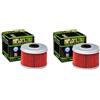 DB PARTS Set di 2 filtri olio compatibili con Honda 300 CRF LRA Rally Abs 2022