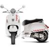 DualColorStampe Adesivi compatibili con Piaggio Vespa 300 GTS Super kit adesivi completo MITICA - Colore a scelta M0302 (ROSSO 31)